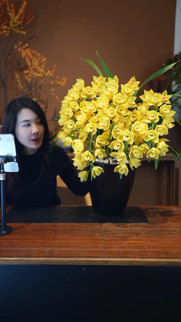 全部花朵黄金岁月盆景盆景盆景