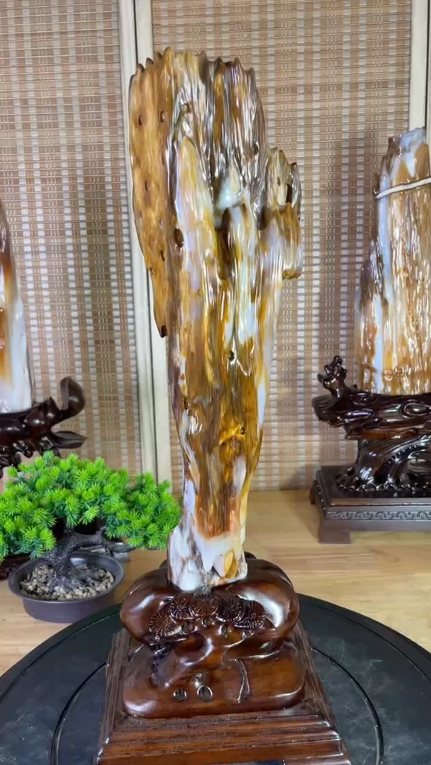 硅化玉珠宝奇石未镶嵌580