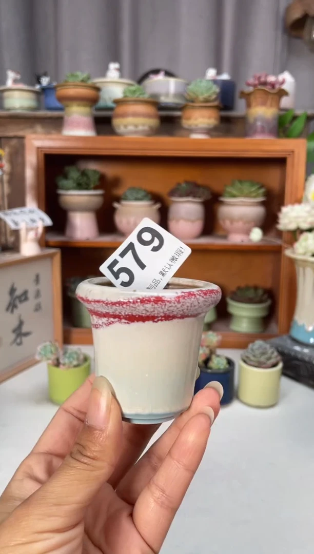 瓷片579知木小芳花盆