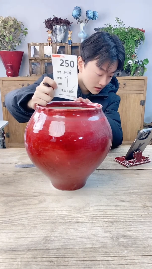 小玩子花盆直播号250