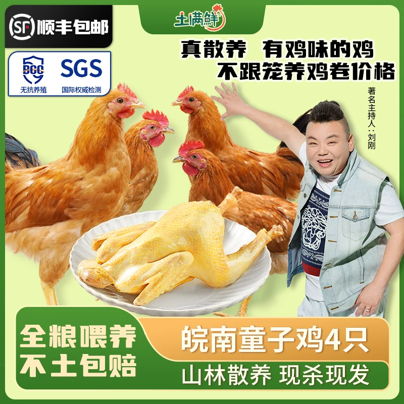 【拍二发四】土满鲜童子鸡皖南山林散养土鸡全粮喂养新鲜现杀整只