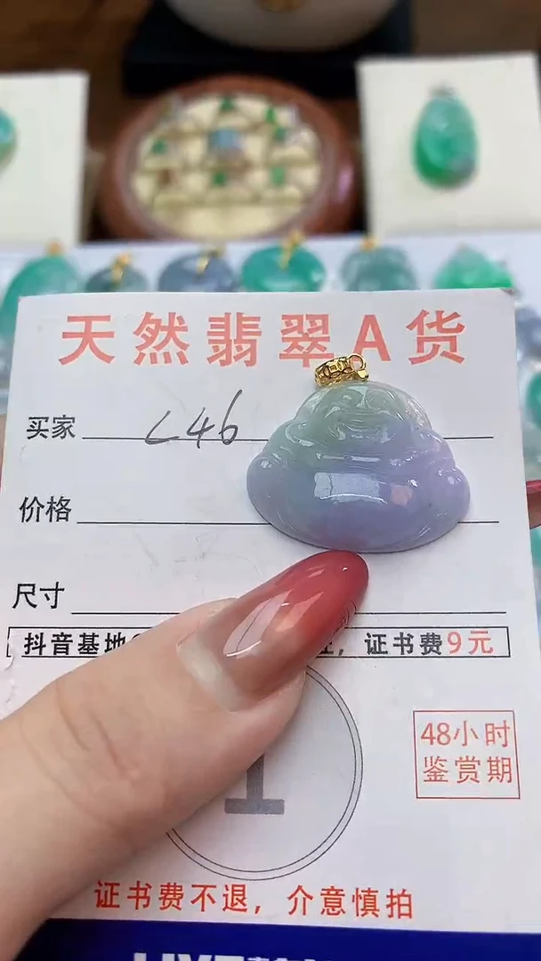 颈饰未镶嵌翡翠天然A货翡翠挂件