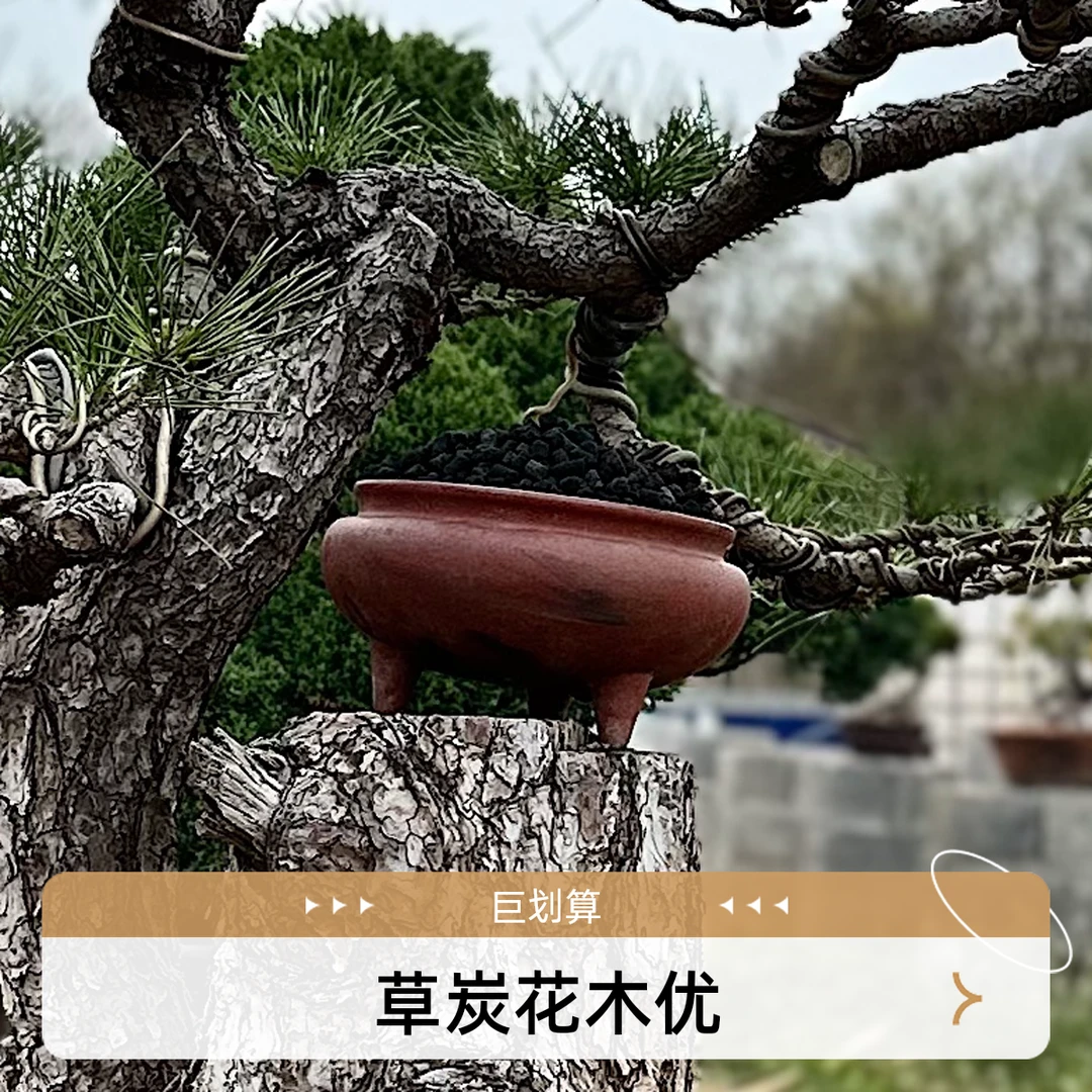 草炭花木专用颗粒肥（盆景，花卉，农作物，绿植，园林等）