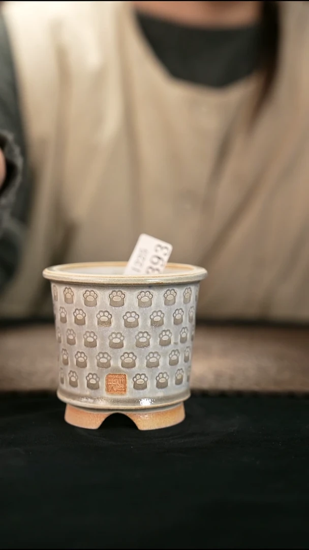 口径7花盆-12-25-393特默认有瑕