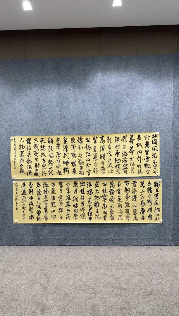 【闪购商品】书法pmw不二轩旗舰店书法LAZ9