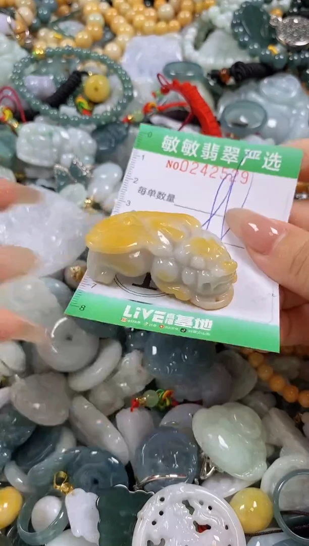 翡翠未镶嵌颈饰闪购0242529