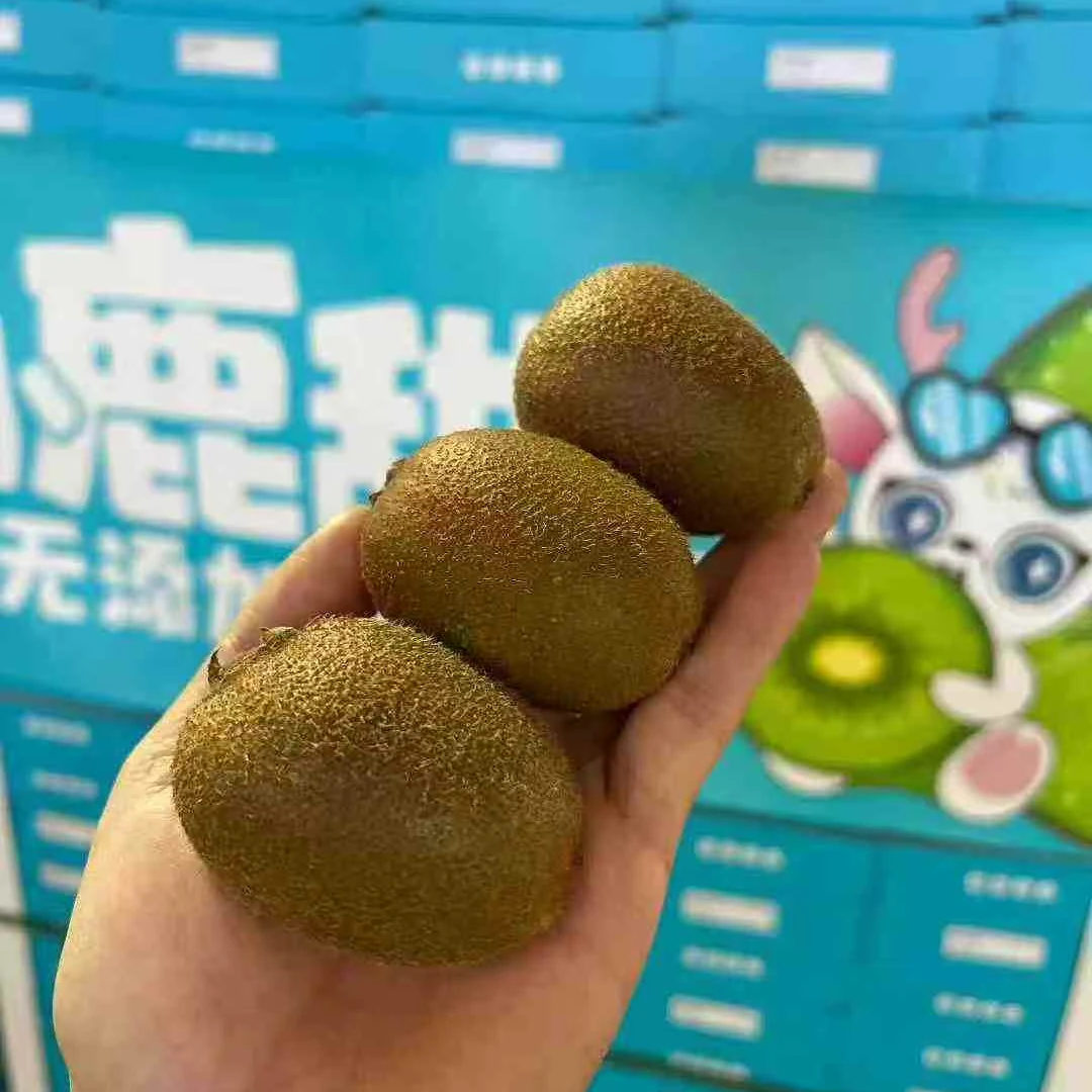 【二姐甄选 小鹿翠香猕猴桃】正宗翠香 当季新鲜水果 香甜多汁