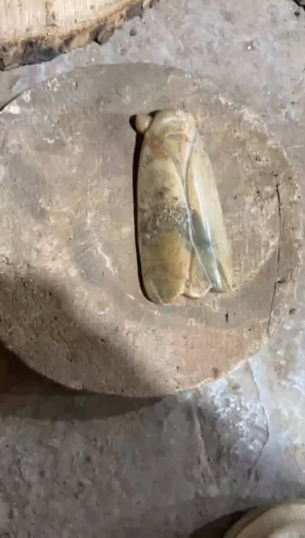 瓷片手工，手绘，陶瓷