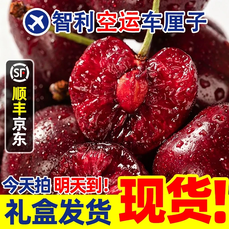 智利空运进口车厘子2J-4J现货礼盒装樱桃当季顺丰包邮内附果径卡400g/800g/2000g桑提娜樱桃智利共和国