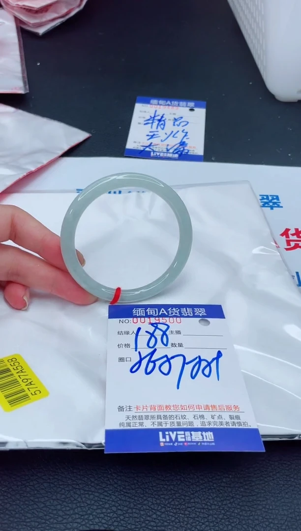 未镶嵌手镯翡翠我2