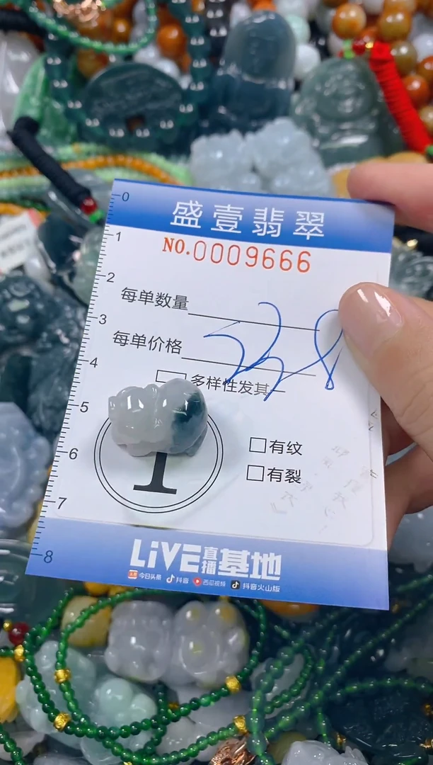 颈饰未镶嵌翡翠闪购0009666