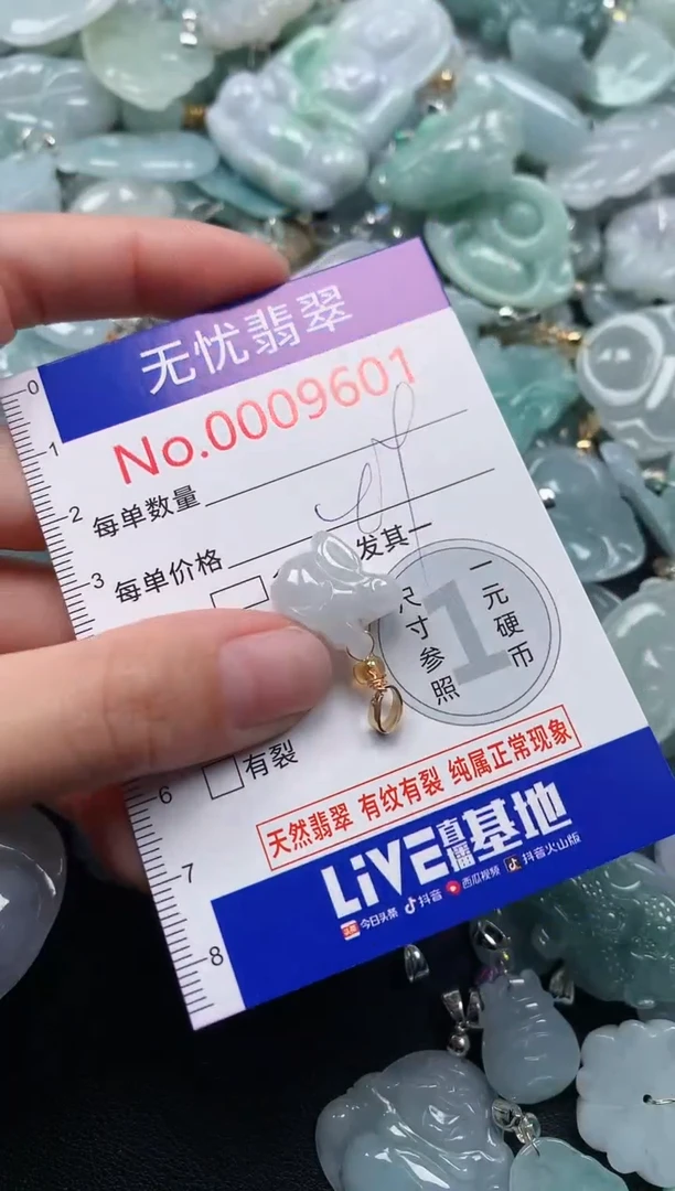 颈饰未镶嵌翡翠9601