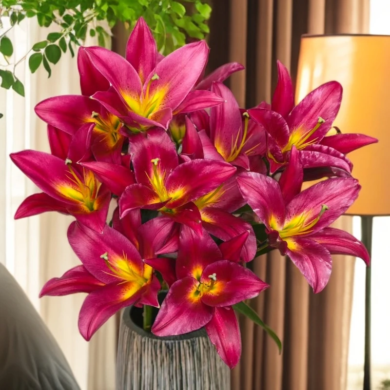 云南木木花卉火石 红色香水百合花 高品质优选家居水养云南鲜花