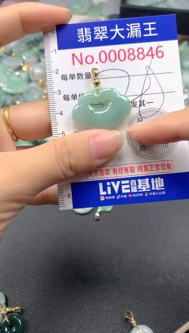 翡翠未镶嵌吊坠(不含链)8846