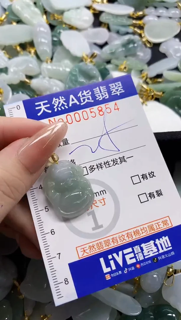 颈饰未镶嵌翡翠天然A货翡翠