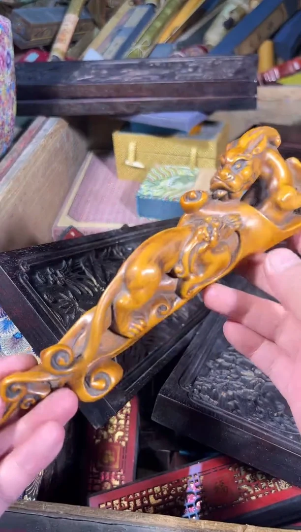 黄杨木11111111111111111111