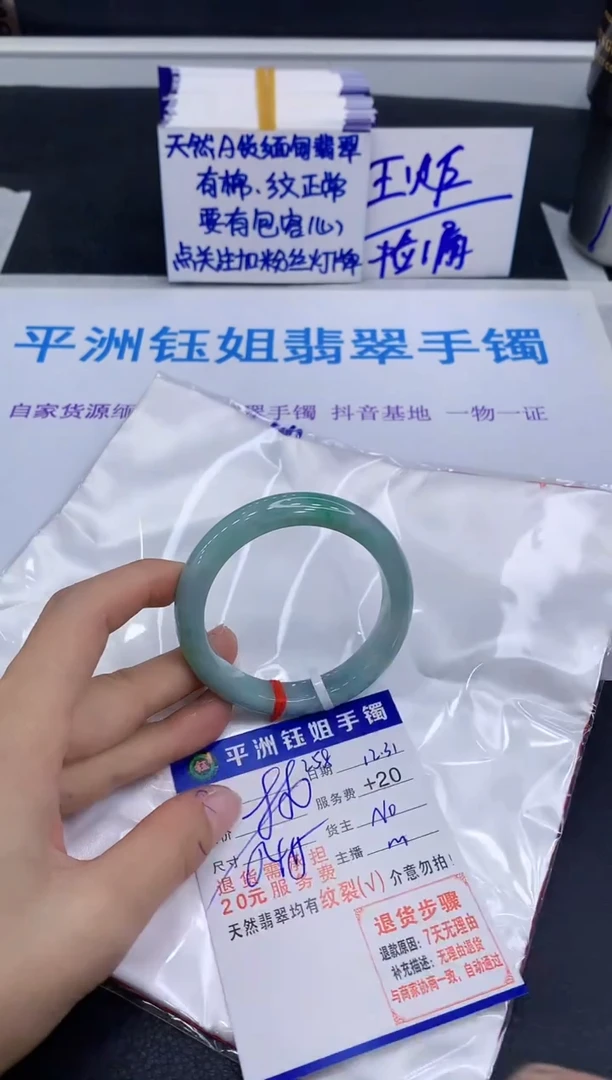 未镶嵌手镯翡翠11111