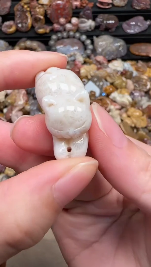 颈饰未镶嵌硅化珊瑚（珊瑚玉）253