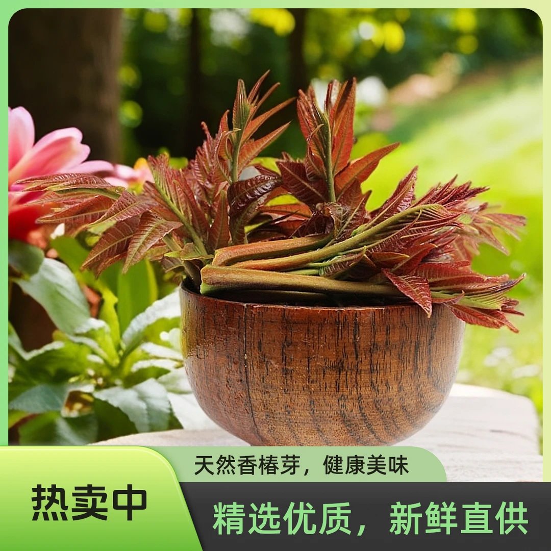 山西Q当季露天头茬香椿芽新鲜蔬菜野菜野生红油香椿顺丰包邮农家