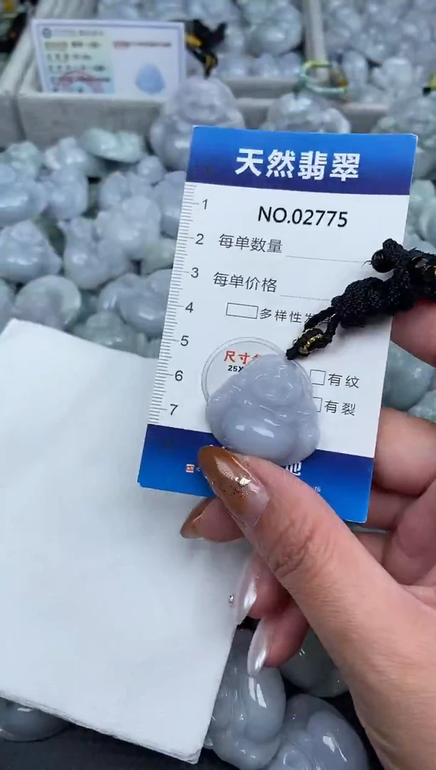 颈饰未镶嵌翡翠纯天然A货翡翠2775