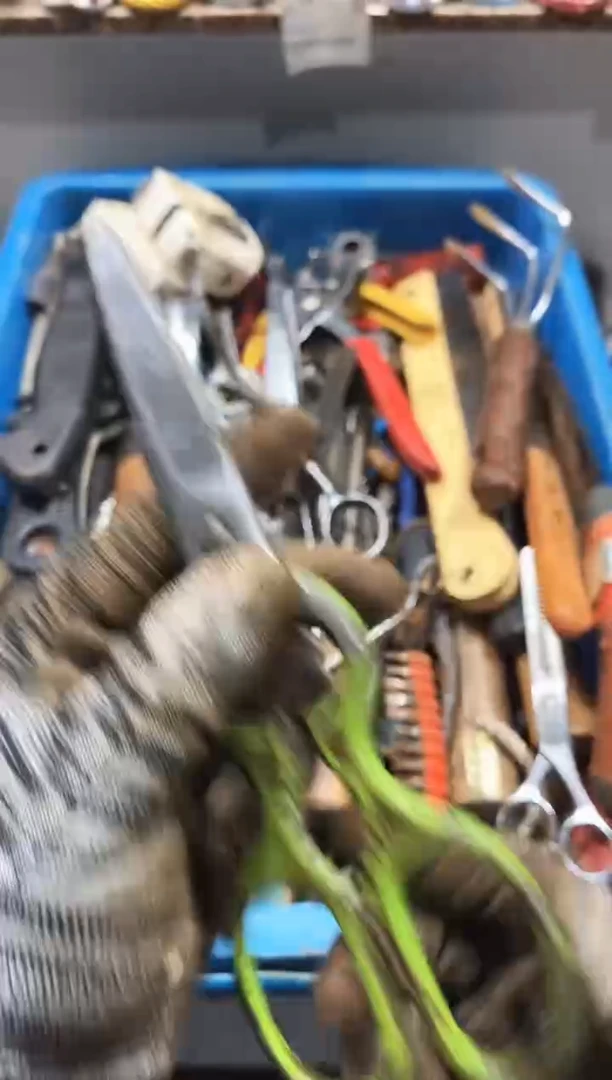 刺*麻嘎子工具闪购链接一物一拍