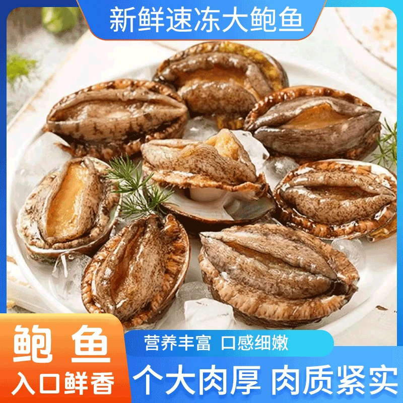 天花板2头鲍12公分左右，烟台长岛深海大鲍鱼新鲜速冻冷水鲜嫩