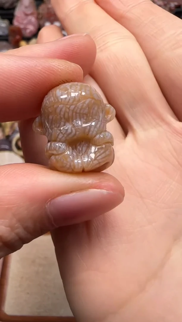 【闪购商品】硅化珊瑚(珊瑚玉)颈饰未镶嵌674