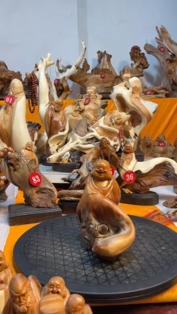 柏木（崖柏）  弥勒