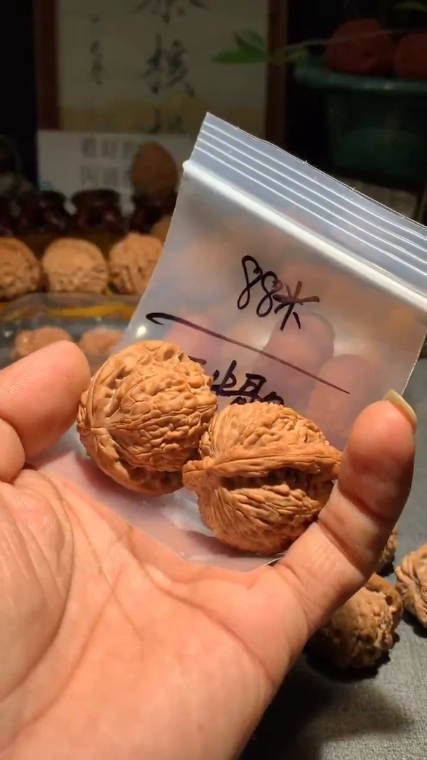 把件桃核云*歌丰泰文玩  白狮子40  尺寸左右