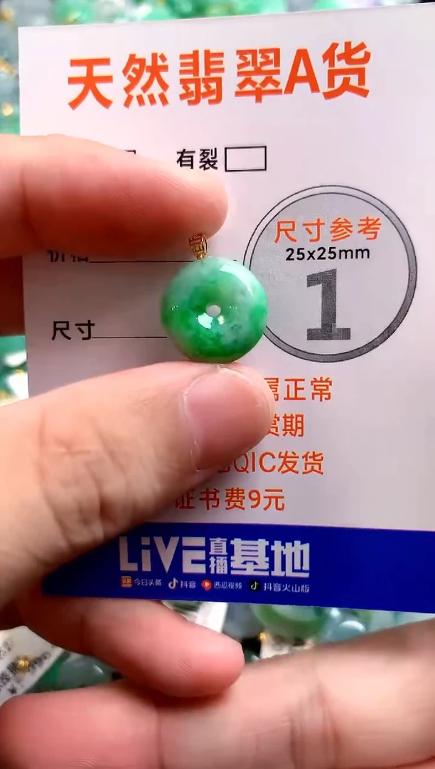颈饰18K金镶嵌翡翠13006307