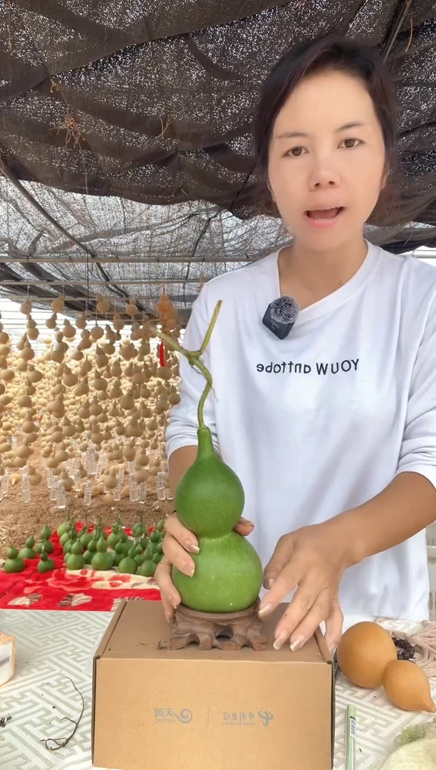 074天然葫芦摆件 一物一拍