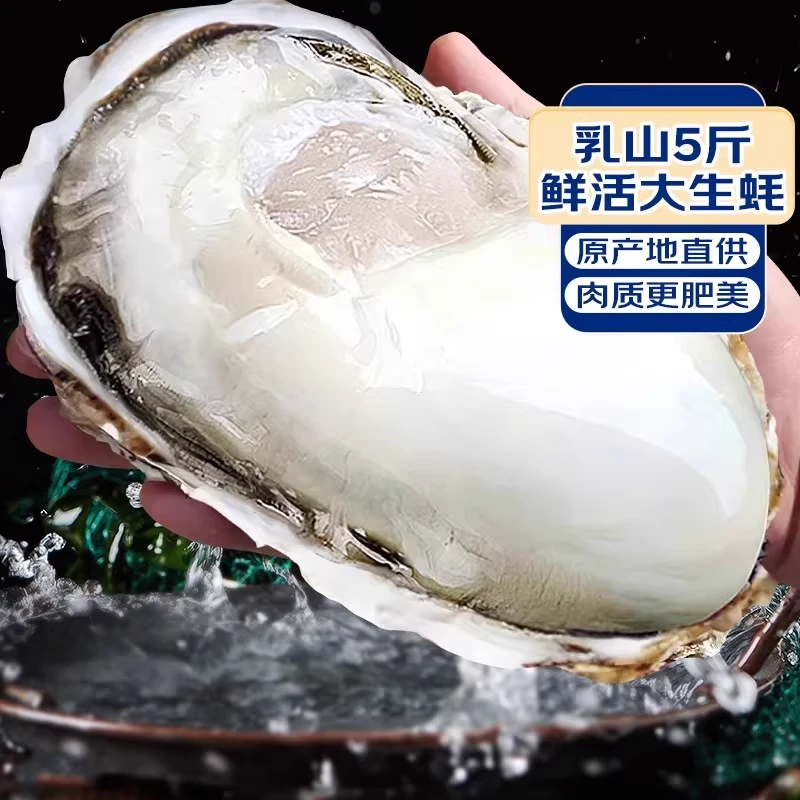 乳山生蚝鲜活特大海蛎子刺身新鲜牡蛎整箱5斤商用批发海鲜