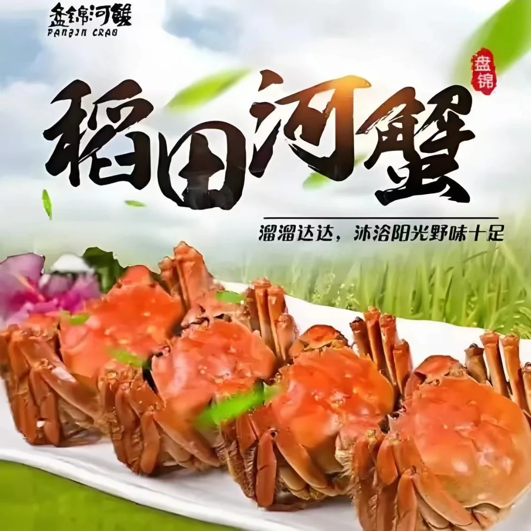 【活蟹】盘锦稻田蟹（1.4-1.7两/只）母蟹鲜活发货