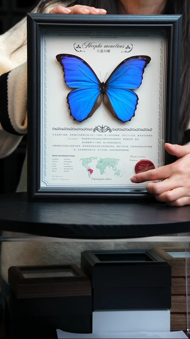 大蓝闪蝶中英文地图款红色火漆印章