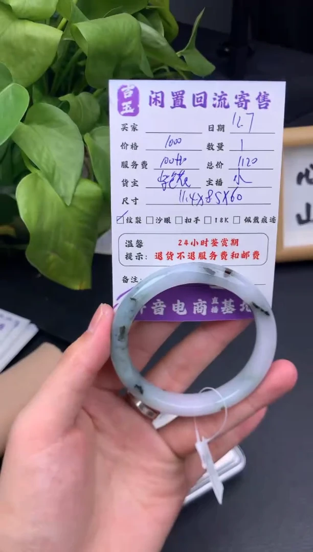 未镶嵌手镯翡翠手镯