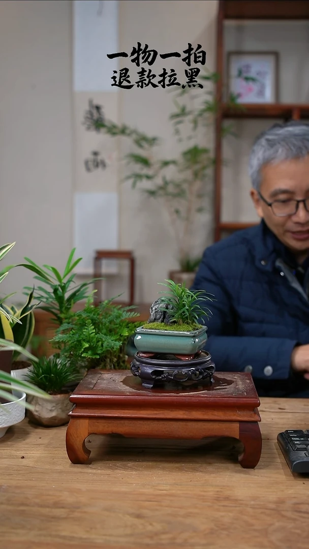 完全开放起****年玉龙草107