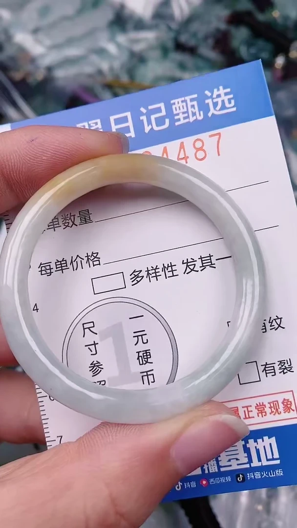 【闪购商品】翡翠颈饰未镶嵌00004487
