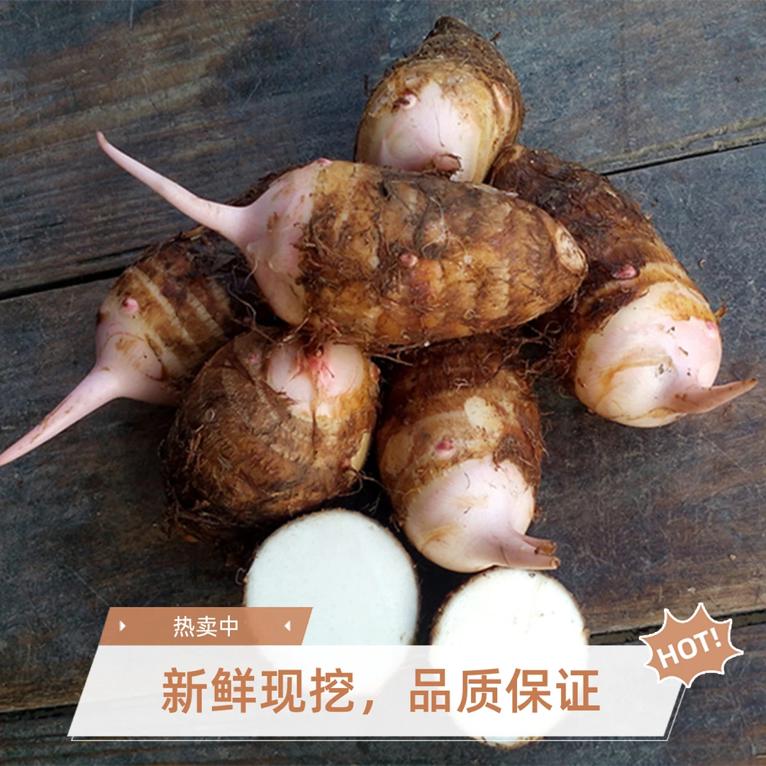 浙江临安红芽芋艿5斤