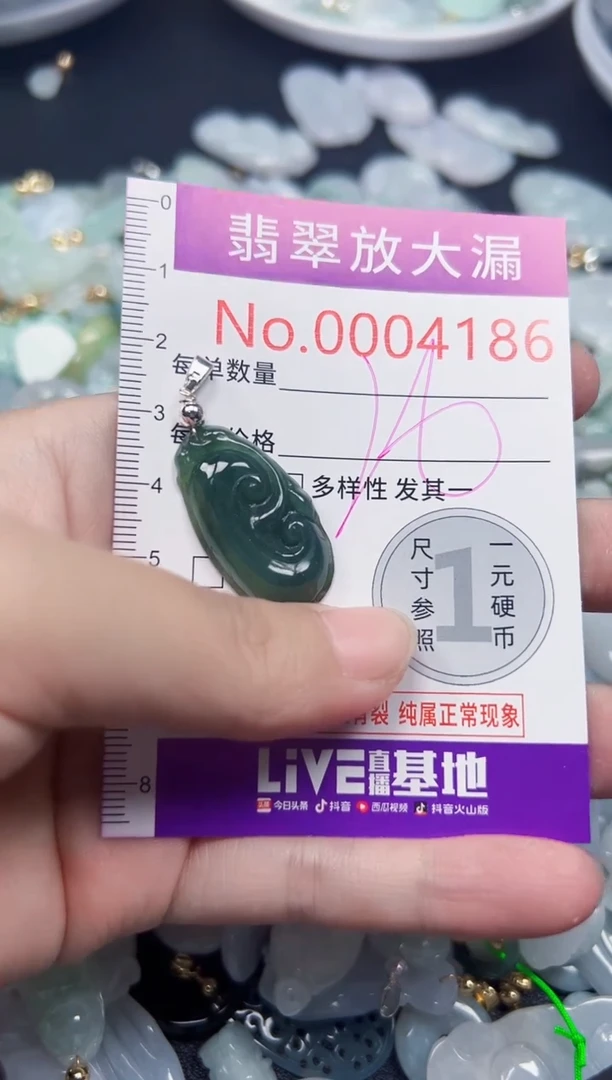 颈饰未镶嵌翡翠4186