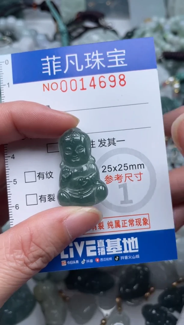 颈饰未镶嵌翡翠14698