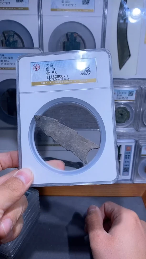 【闪购商品】铜品泉收藏     先秦鱼币陶