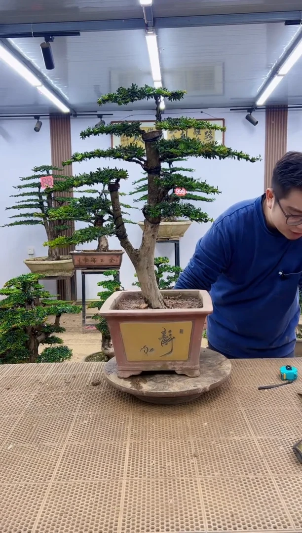 无花朵000000000000