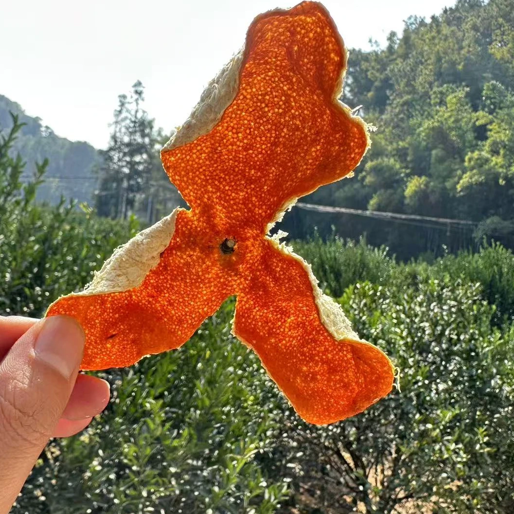 广西浦北茶枝柑2024年冬后老树大红皮 自然生晒（树龄20年+）