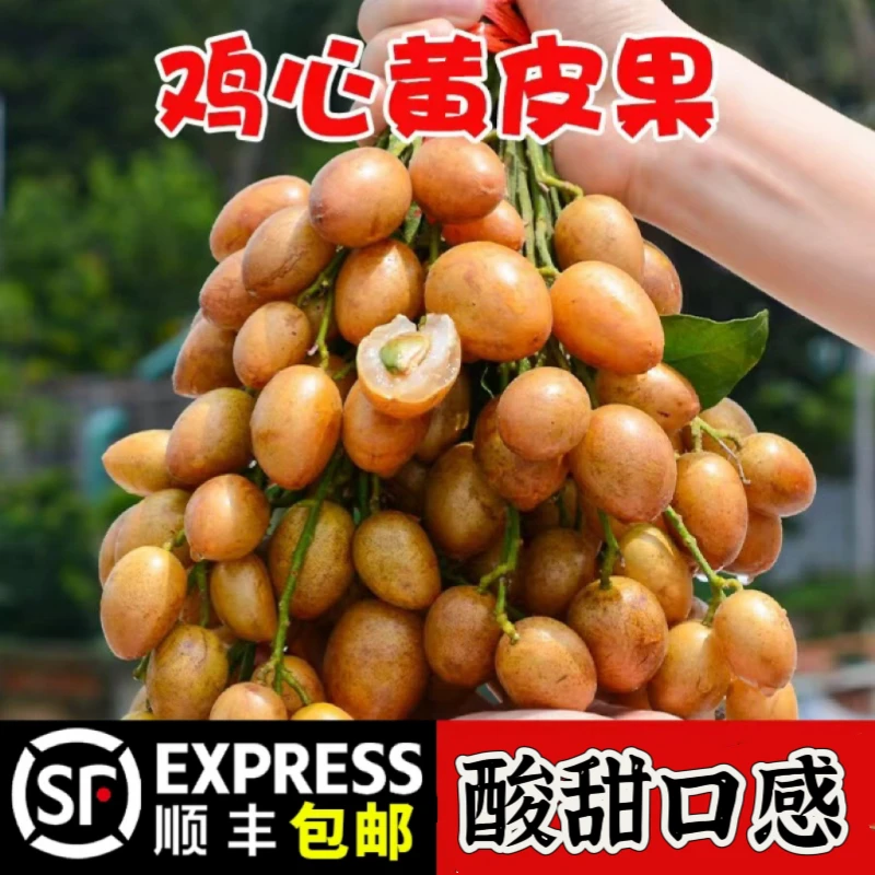 广东正宗A+鸡心黄皮果新鲜采摘应季水果顺丰包邮