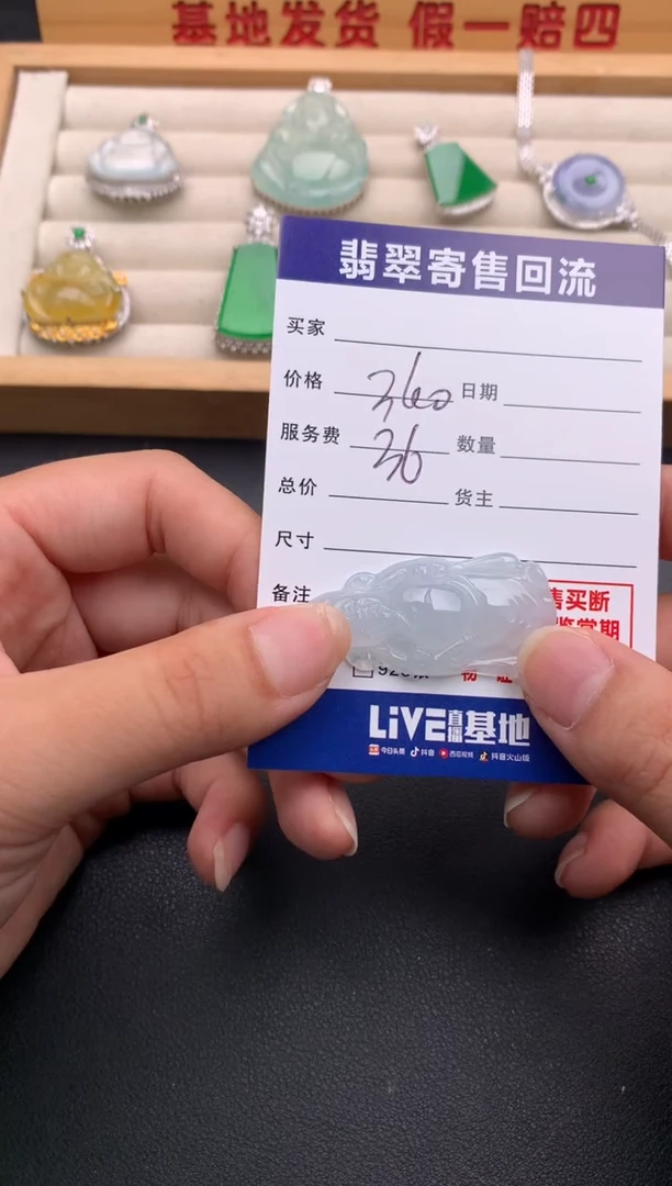 翡翠未镶嵌颈饰10138531