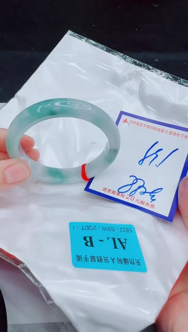 未镶嵌手镯翡翠11111111
