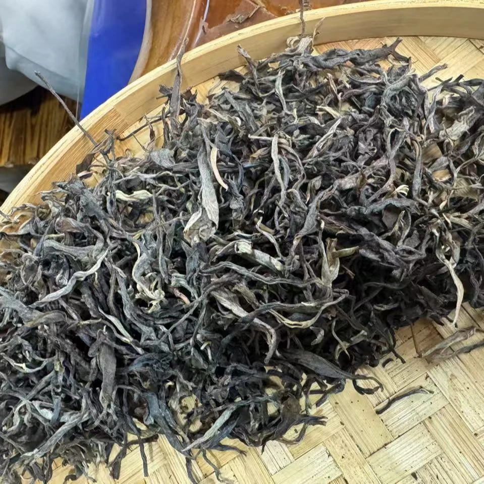 【310】2024年广别老寨妖茶 生茶