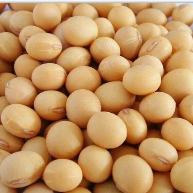 偏二哥山货农家黄豆