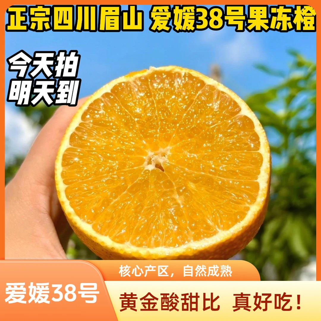 【明天到】爱媛38号果冻橙 正宗四川眉山核心产区新鲜水果现货直发四川省