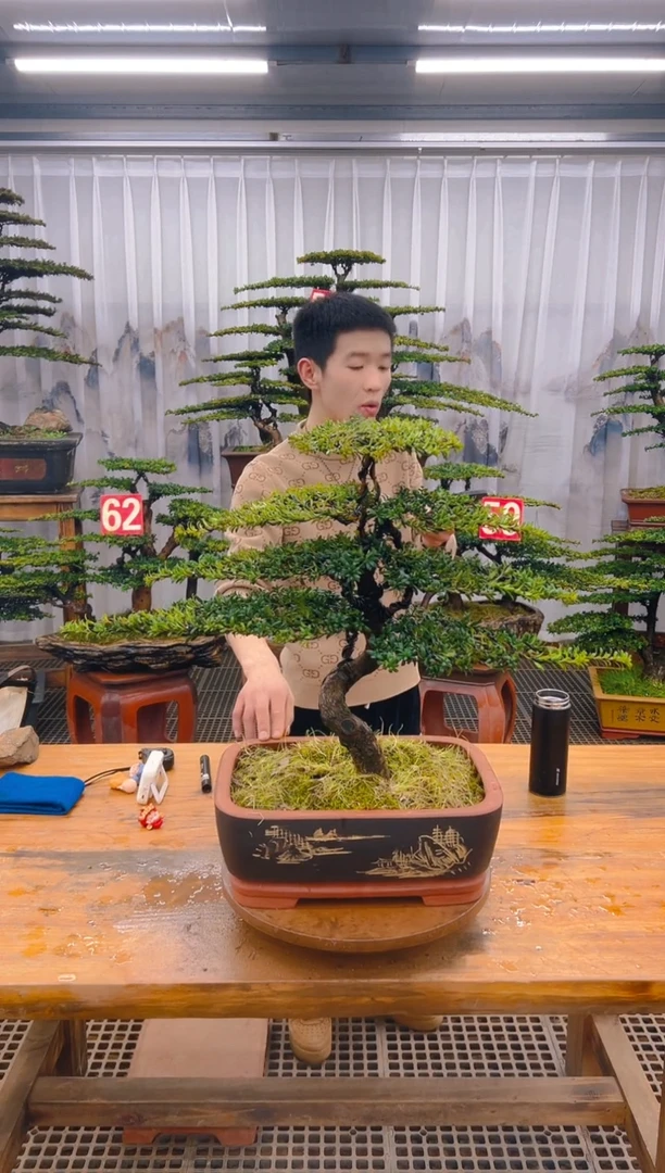 【闪购商品】紫砂精品盆景直播间一物一拍